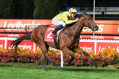 ladbrokes jockey challenge.